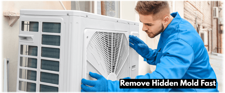 HVAC Mold Removal Oakland Park FL